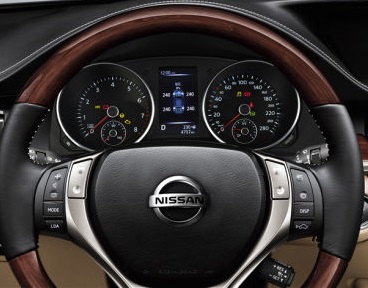 Nissan dashboard - dump
